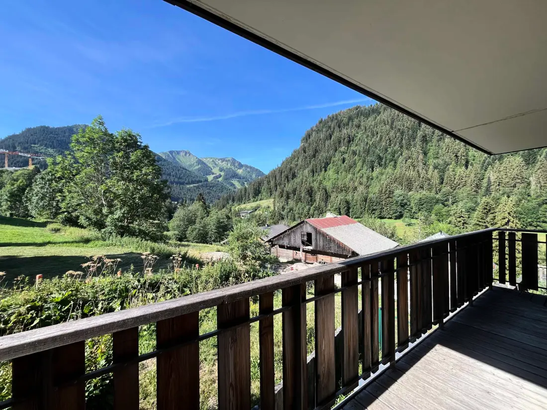 Location de Vacances Châtel 421