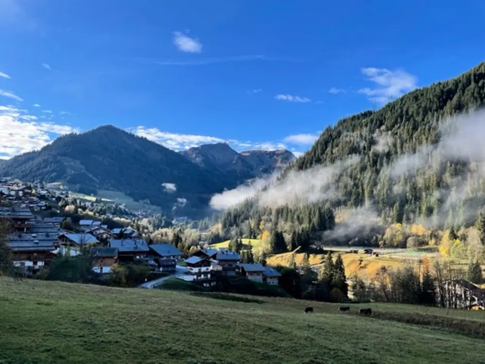 Maison de Vacances Châtel 293