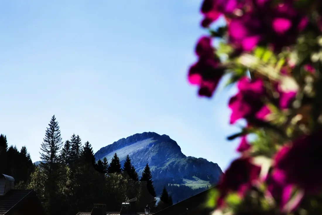 CHALET 10 PERSONNES