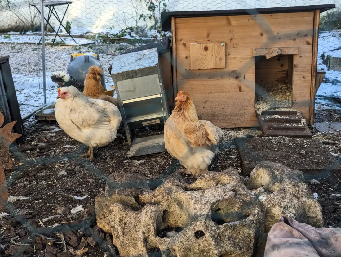 Gîte de France Le chaumontais ecolo 4 épis