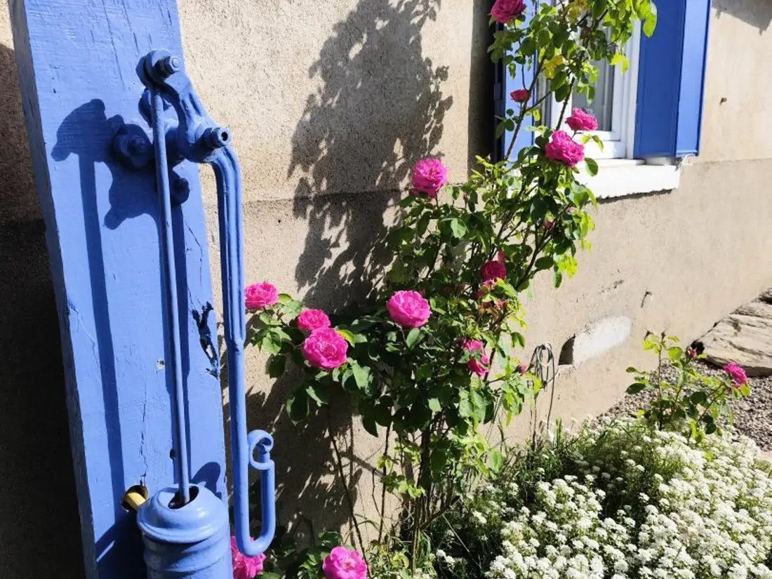 Location de Vacances CHAZELLES-SUR-LYON 3