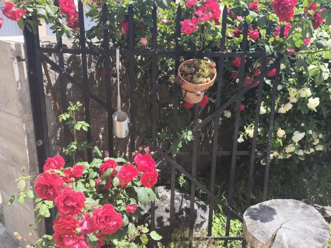Location de Vacances CHAZELLES-SUR-LYON 3