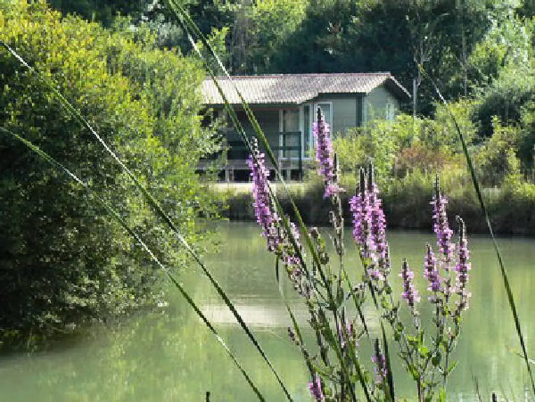 Les Chalets de la Héronnière