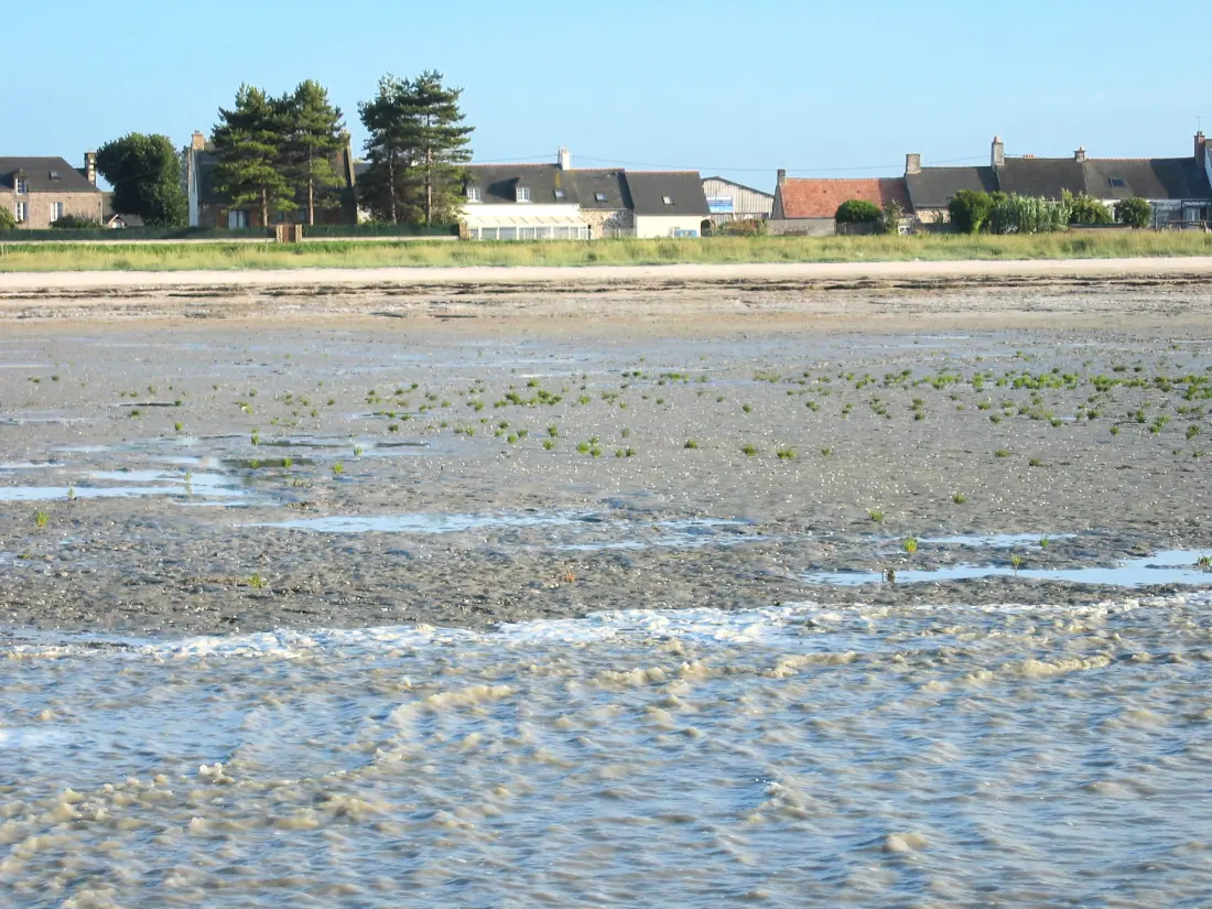 Résidence Au Coeur de la Baie
