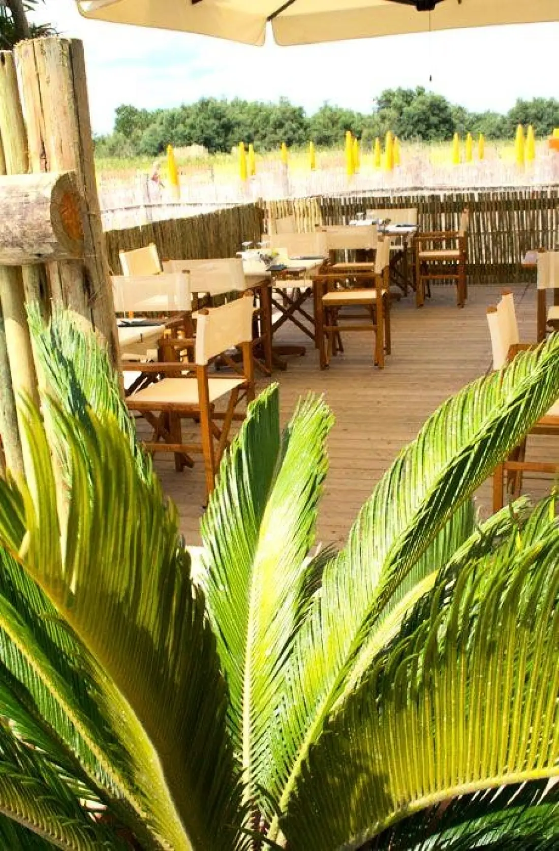 Camping Oasi 3 étoiles★★★