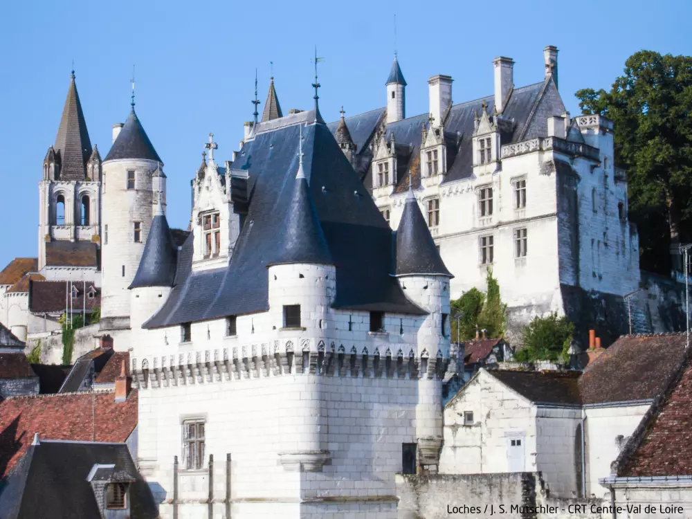 Maison de Vacances Chissay-en-Touraine