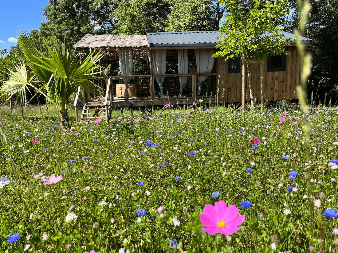 La Buissonnière Lodges 3 étoiles★★★