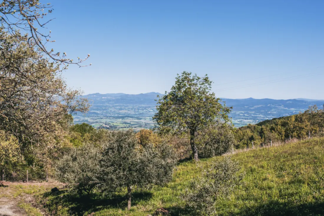 Camping Lucherino