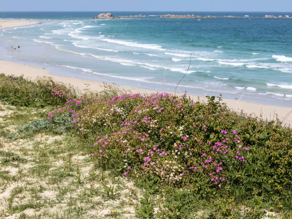 Résidence Les Pieds dans l'eau