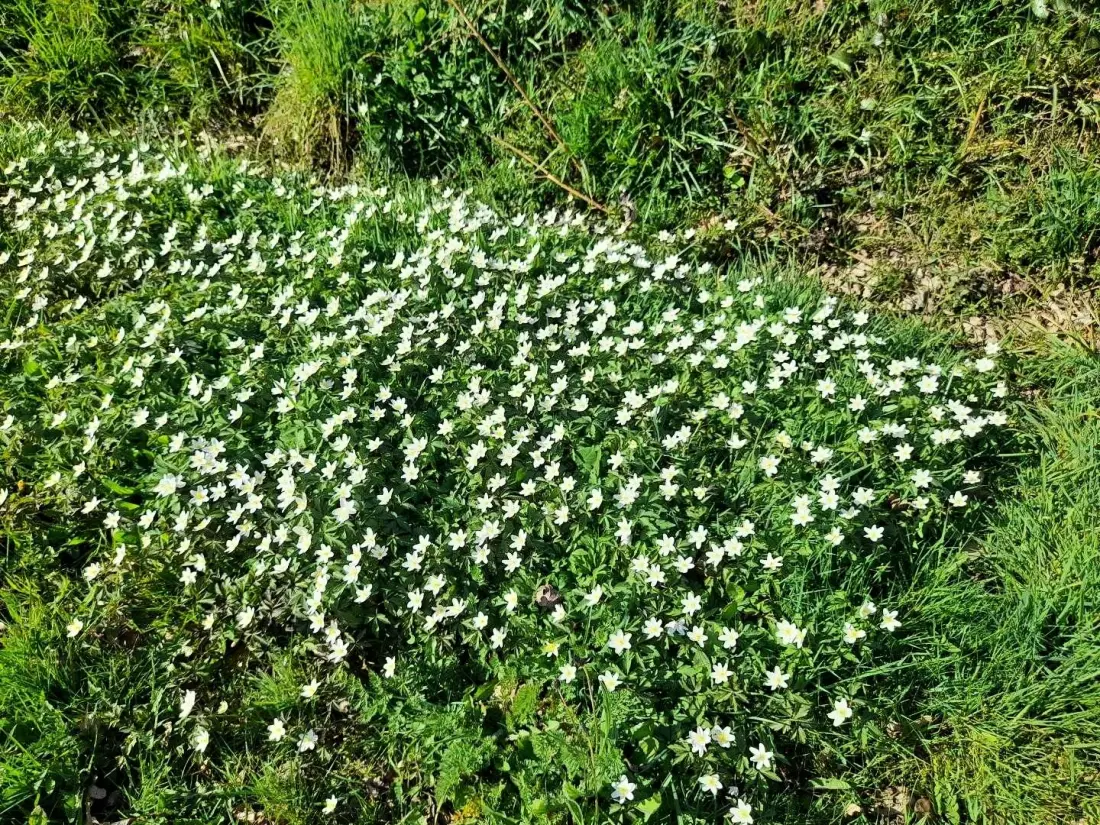 Gîte de France Ar gwelva 2 épis