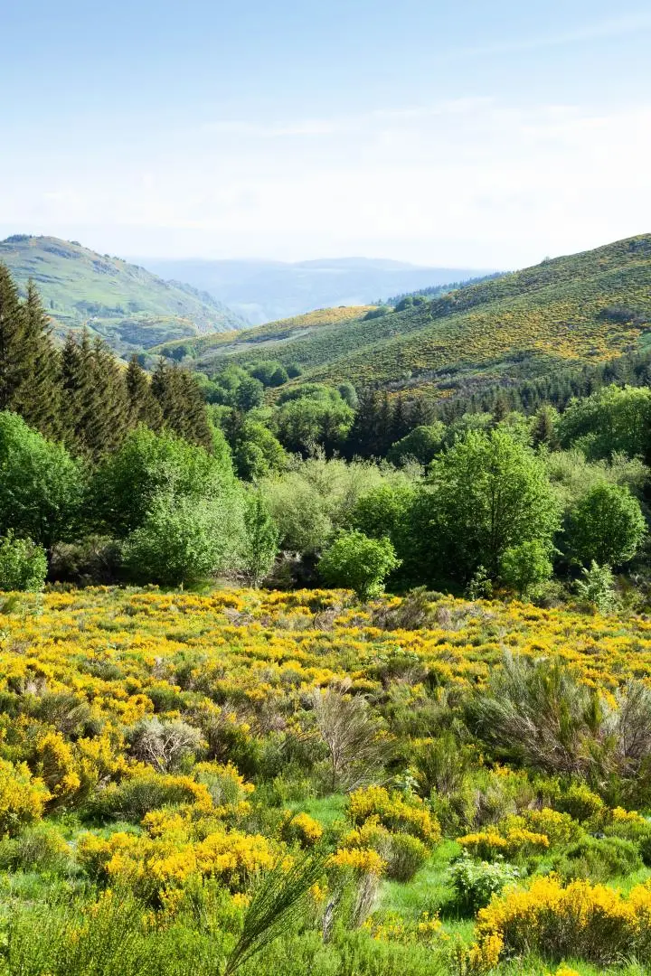 Gîte de France Ar gwelva 2 épis