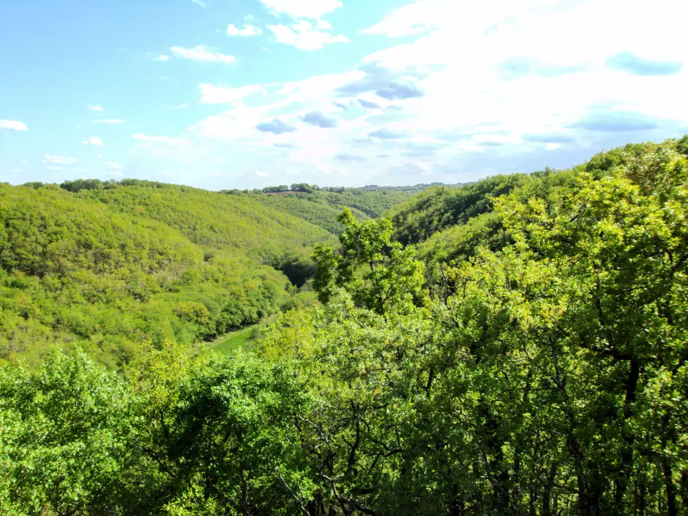 Maison de Vacances Labastide-Murat