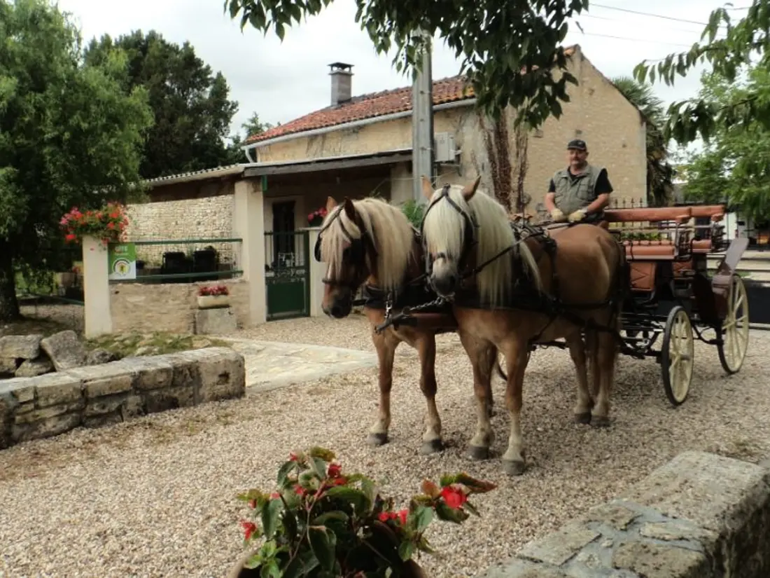 Maison de Vacances Saint-Sulpice-de-Cognac 2