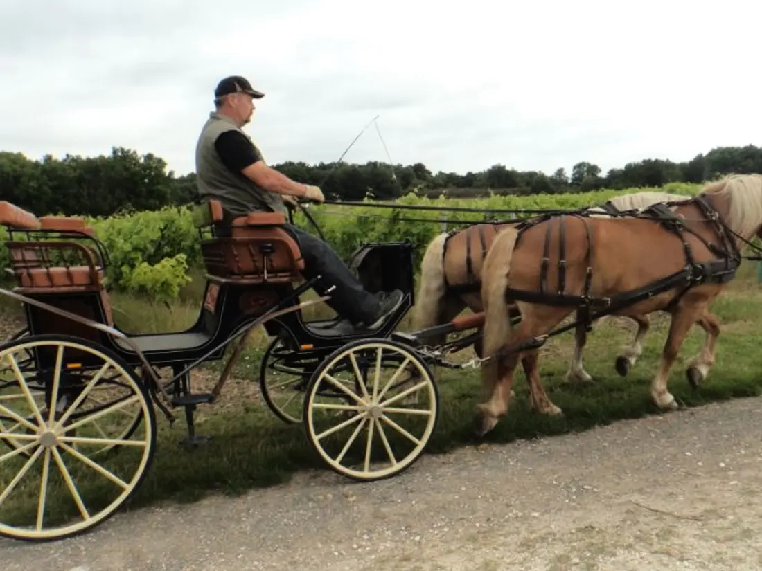 Maison de Vacances Saint-Sulpice-de-Cognac 2