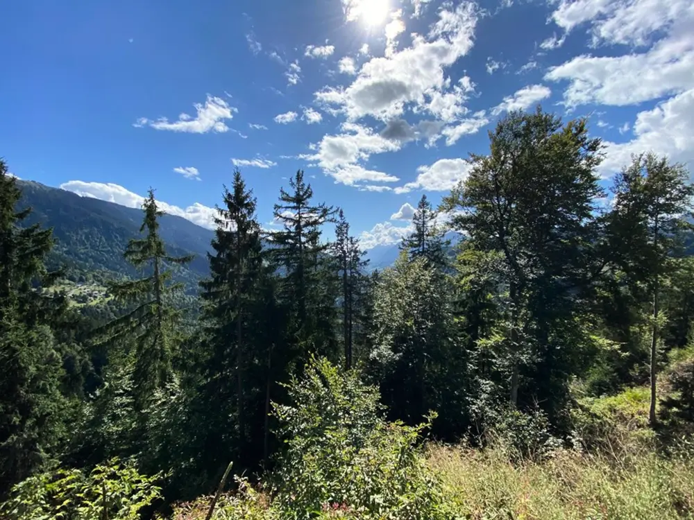 Location de Vacances Cohennoz 12