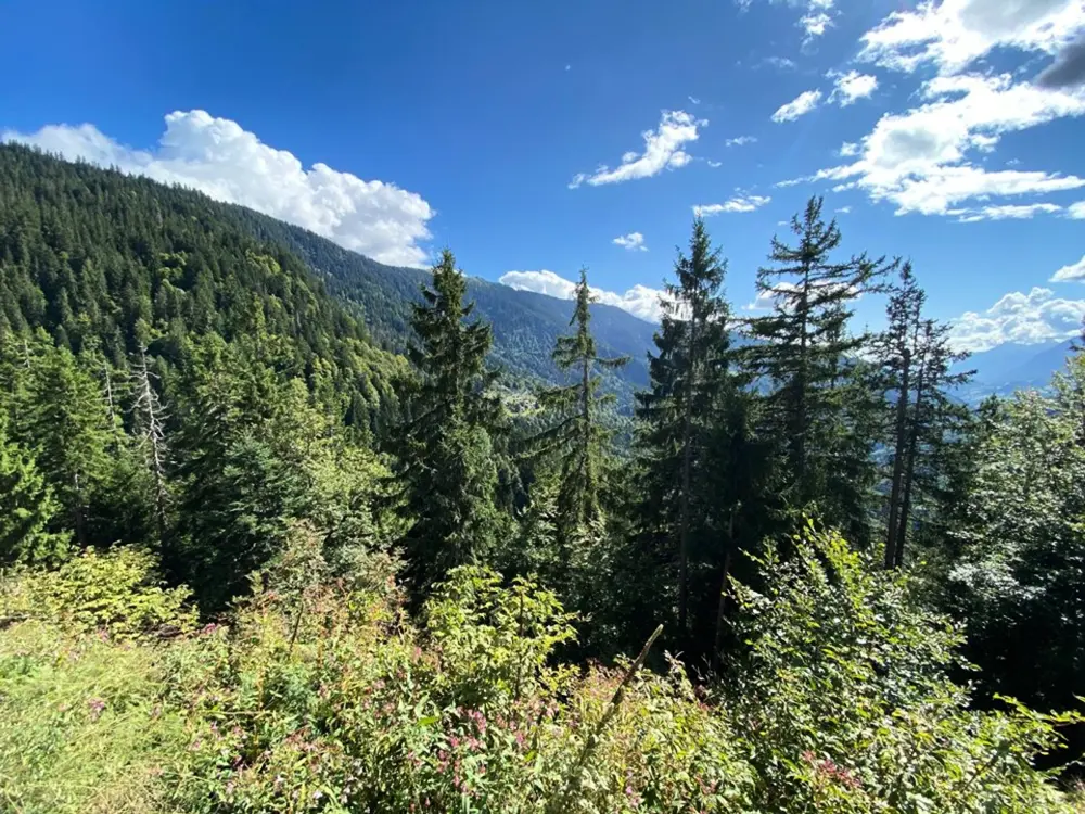 Location de Vacances Cohennoz 12