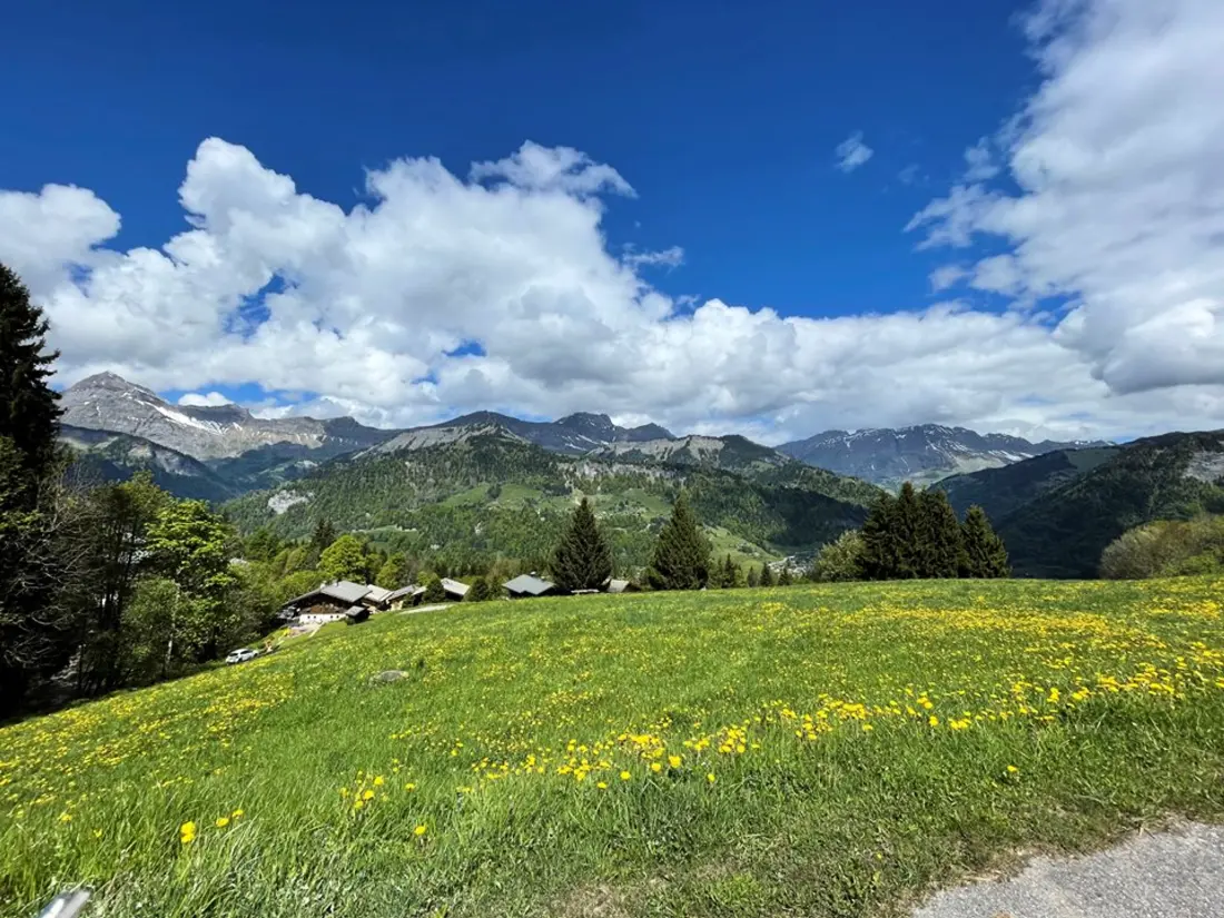 Location de Vacances Crest-Voland 106