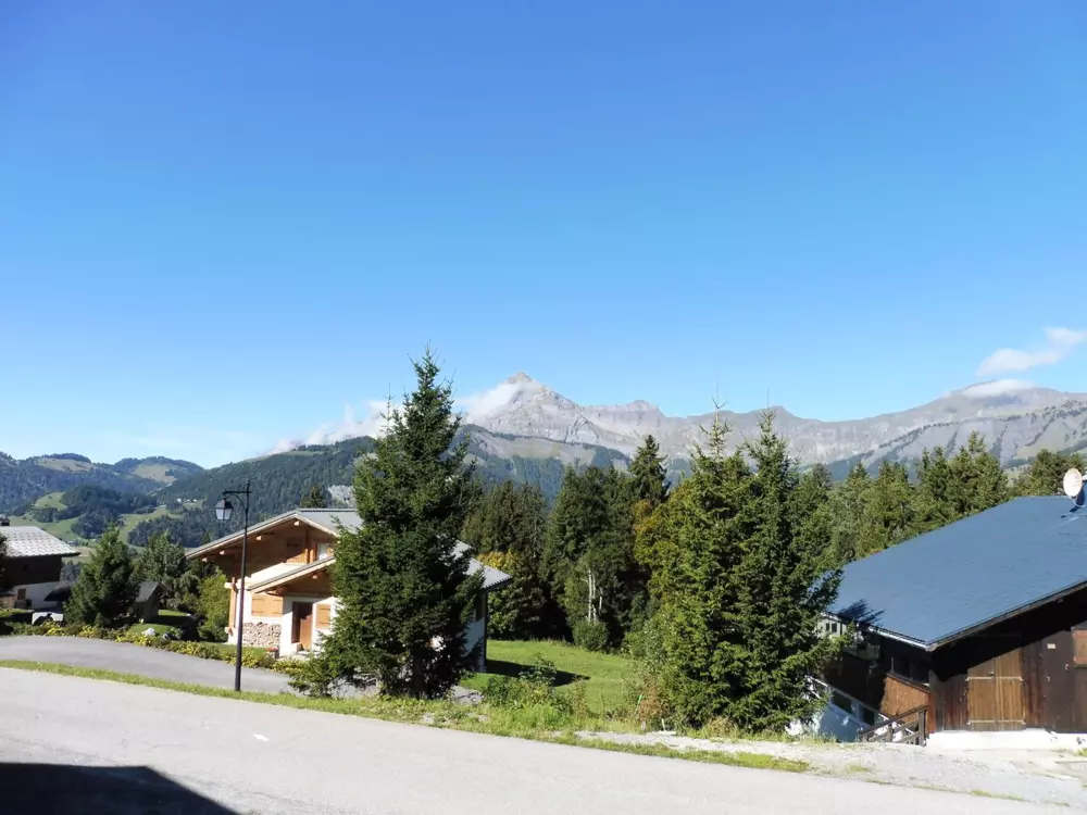 Location de Vacances Crest-Voland 12