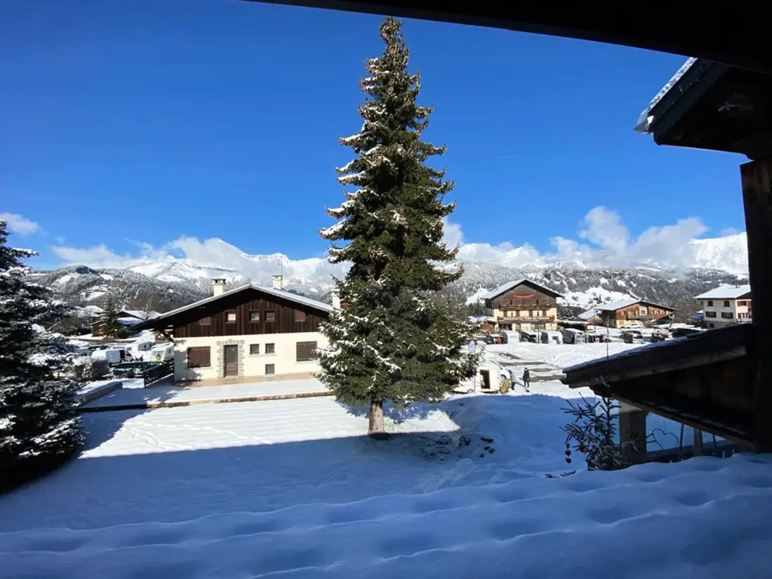 Location de Vacances Crest-Voland 139