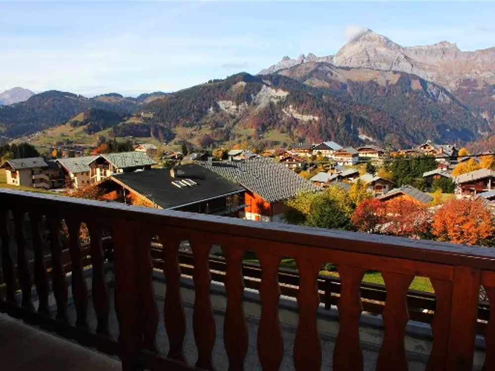 Location de Vacances Crest-Voland 141