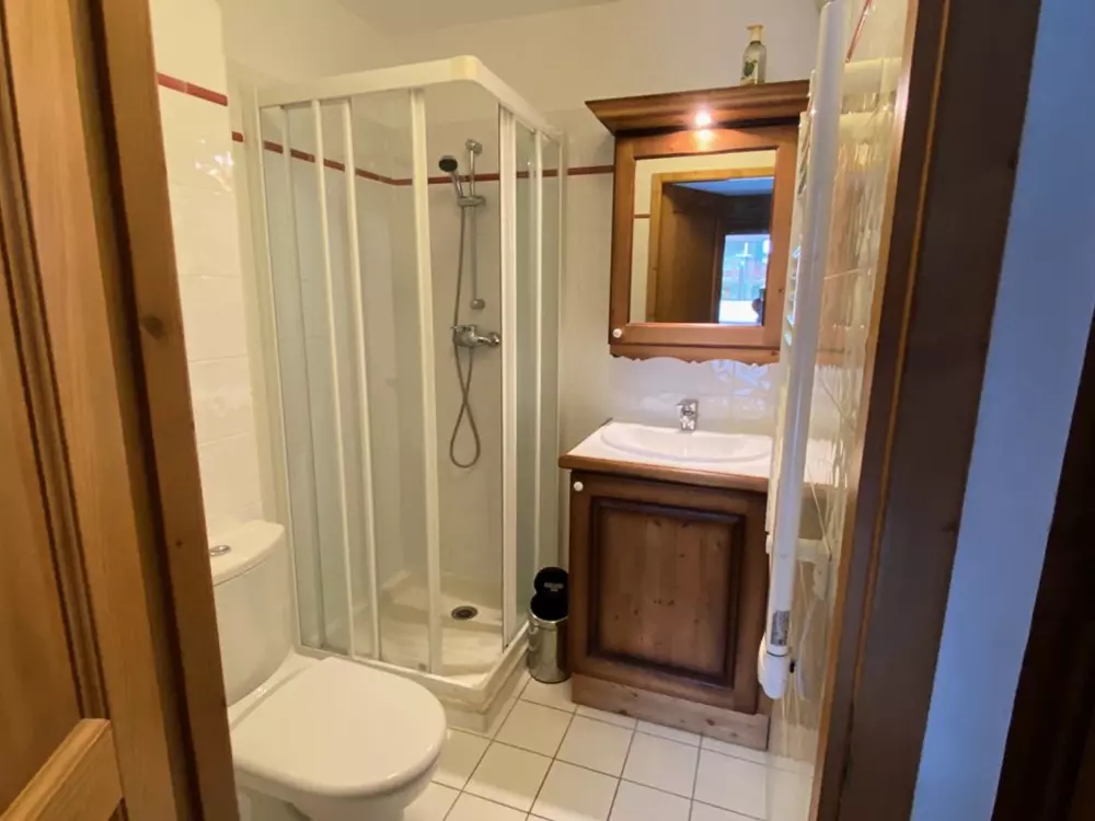 Location de Vacances Crest-Voland 143