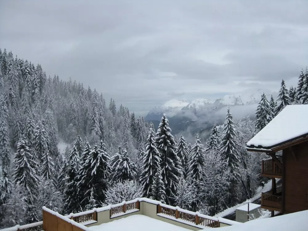 Location de Vacances Crest-Voland 143