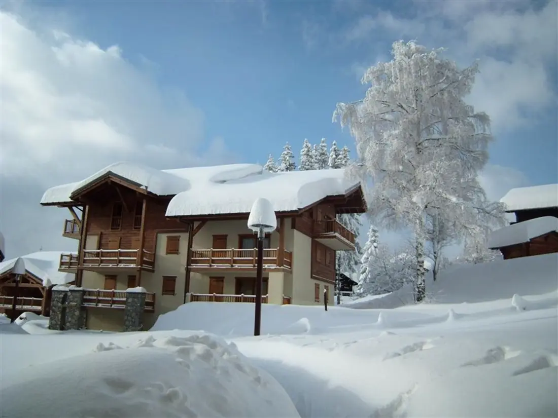 Location de Vacances Crest-Voland 145