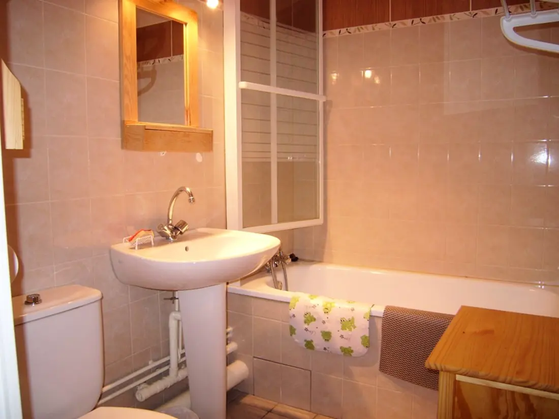 Location de Vacances Crest-Voland 146