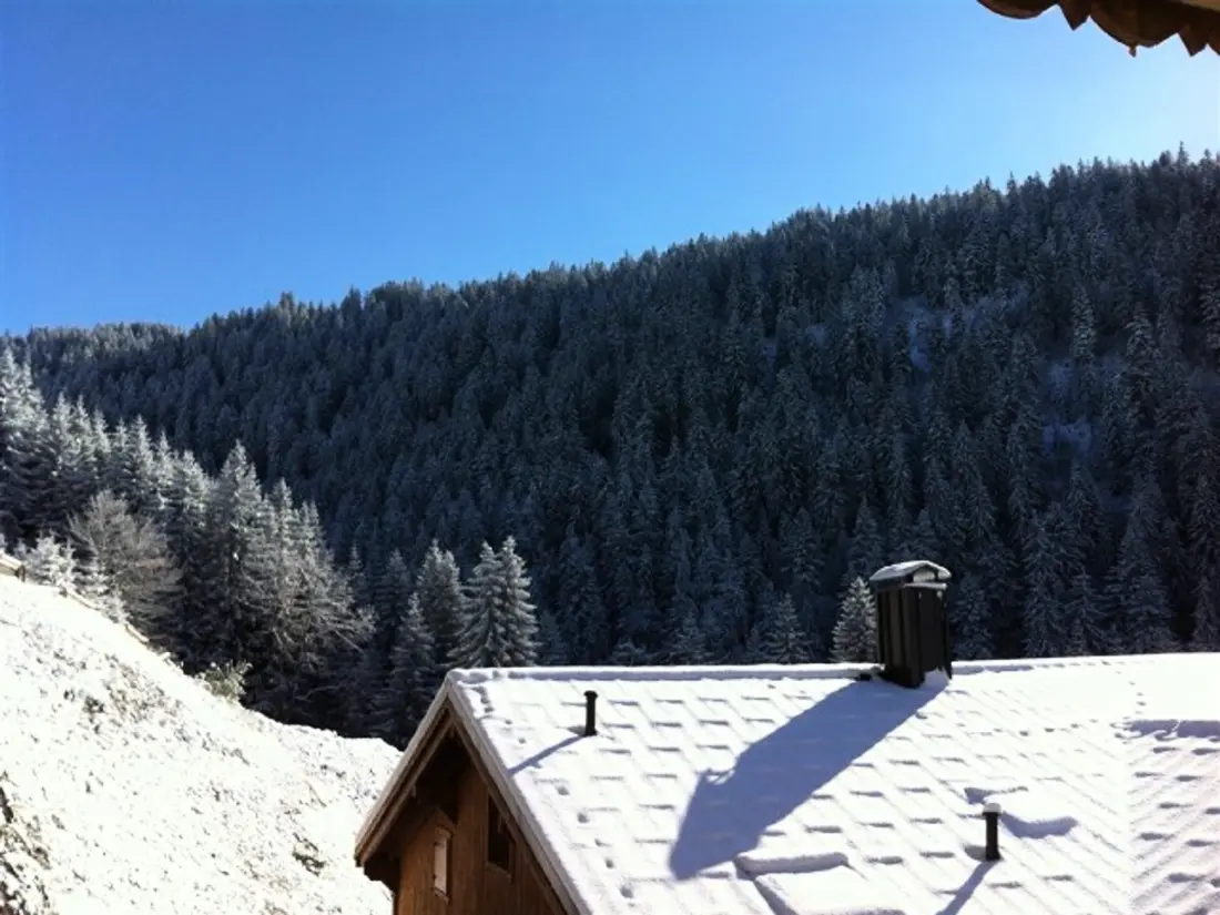 Location de Vacances Crest-Voland 151