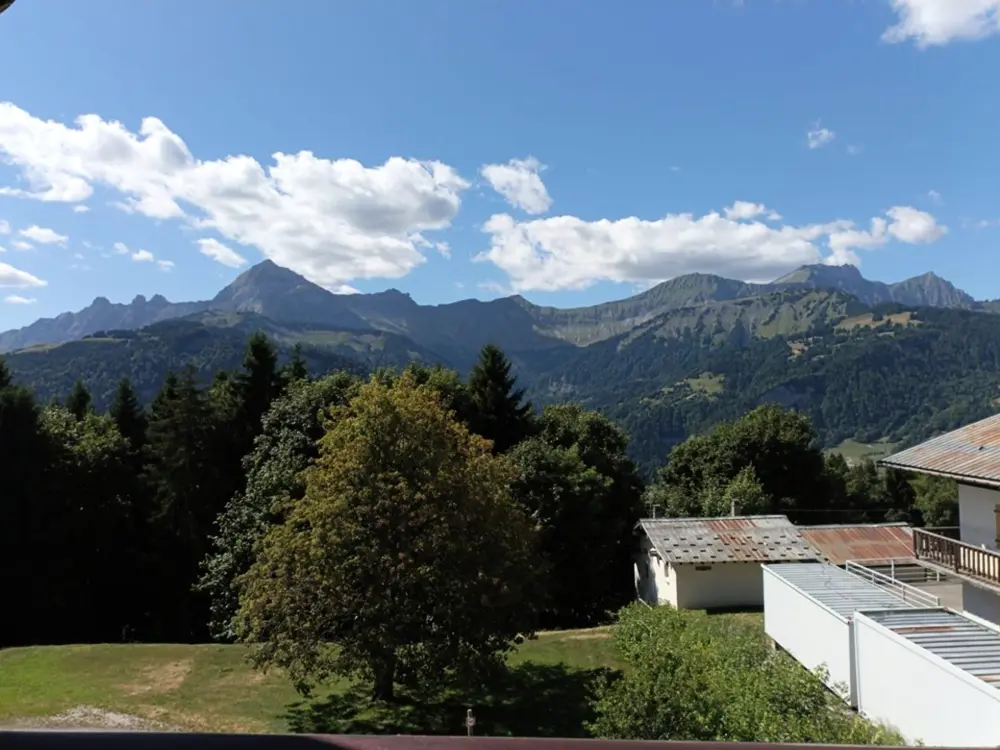Location de Vacances Crest-Voland 154