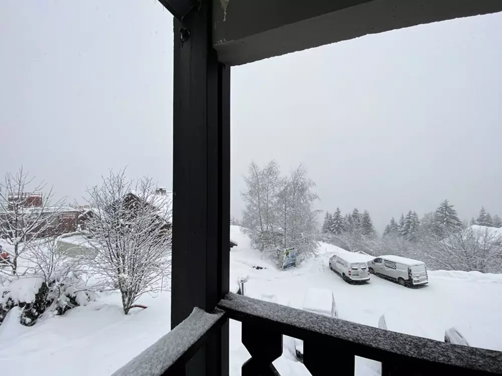 Location de Vacances Crest-Voland 157