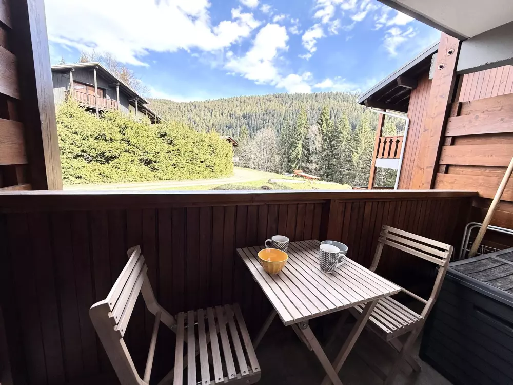 Location de Vacances Crest-Voland 16