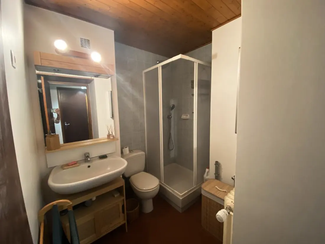 Location de Vacances Crest-Voland 163