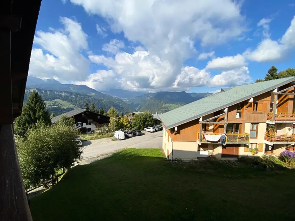 Location de Vacances Crest-Voland 171