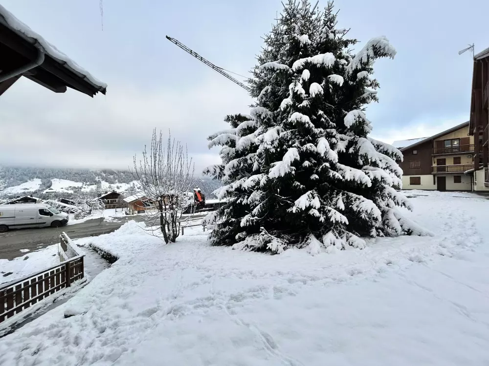 Location de Vacances Crest-Voland 18