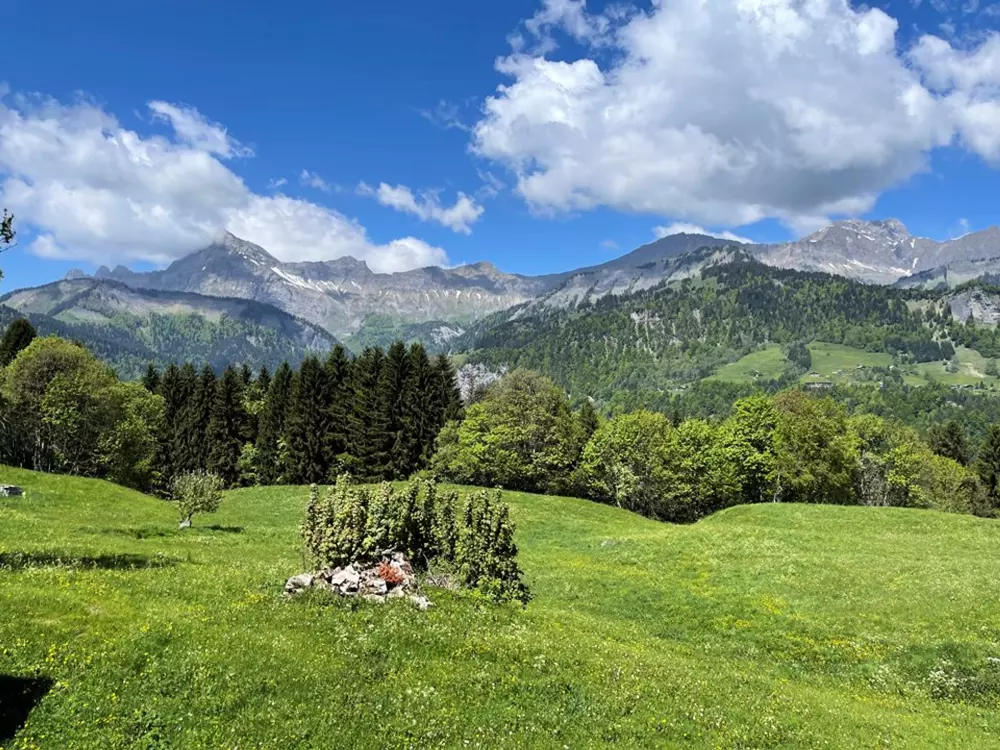 Location de Vacances Crest-Voland 49