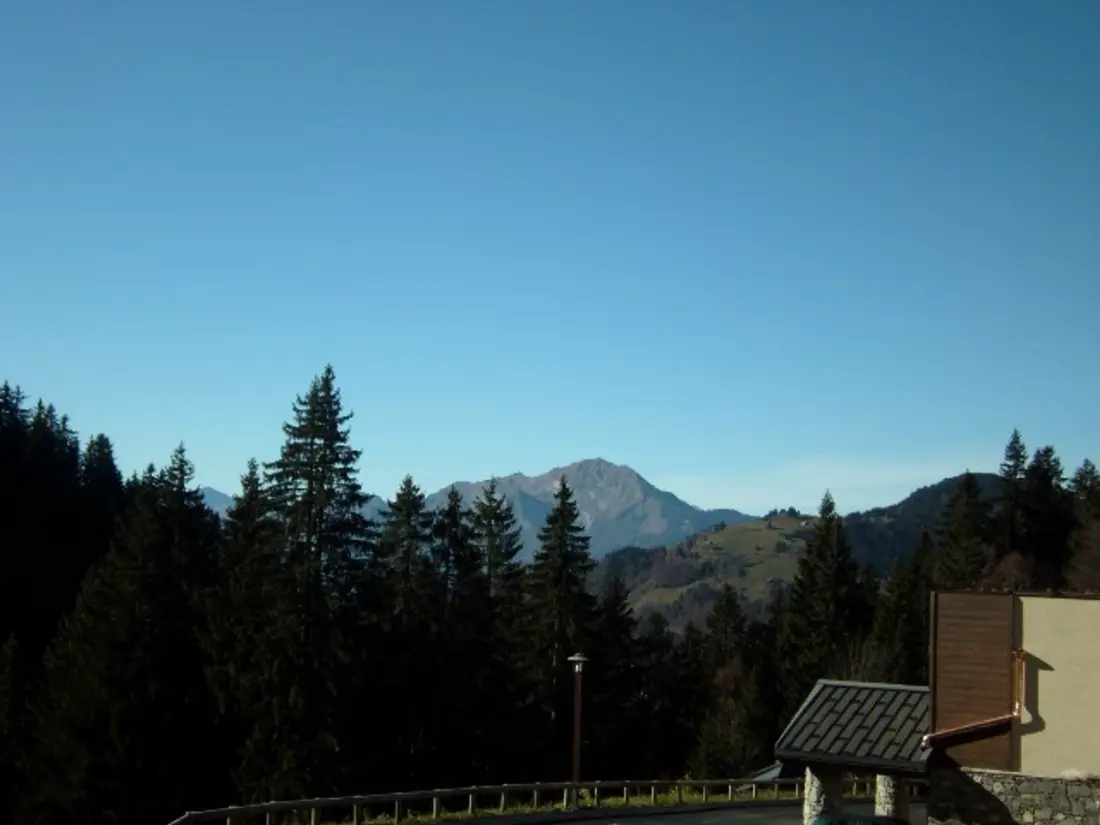 Location de Vacances Crest-Voland 81