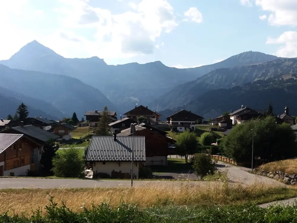 Location de Vacances Crest-Voland 91
