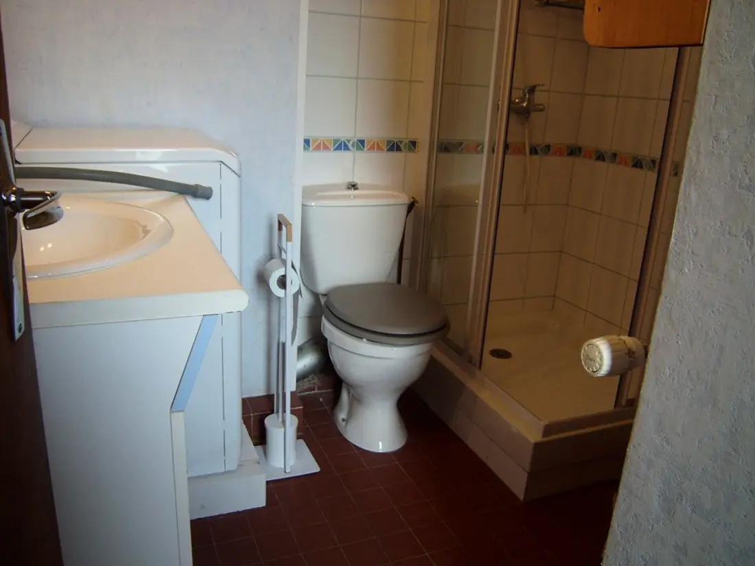 Location de Vacances Crest-Voland 97