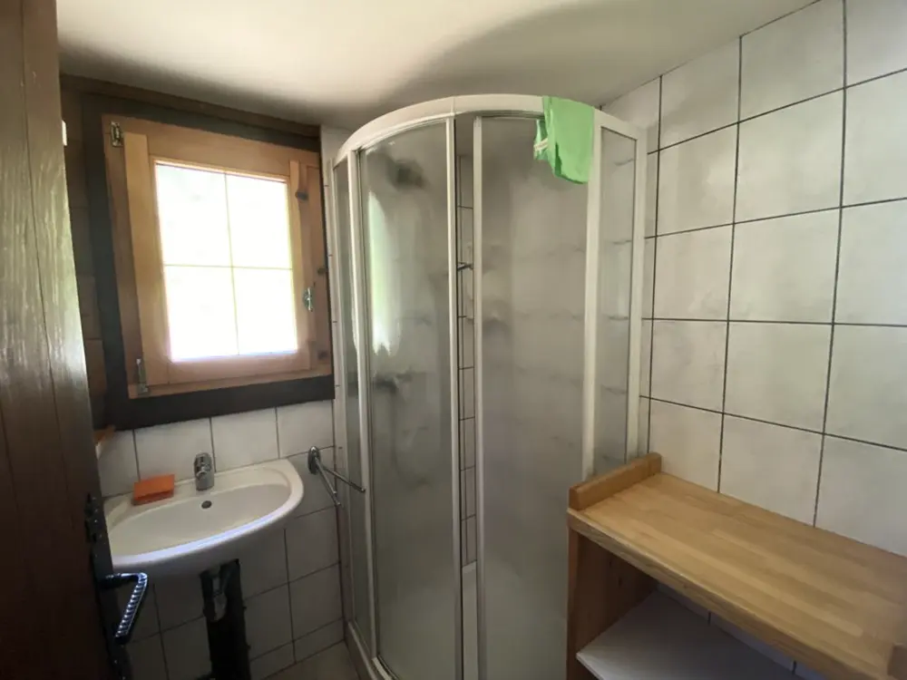 Maison de Vacances Crest-Voland 159
