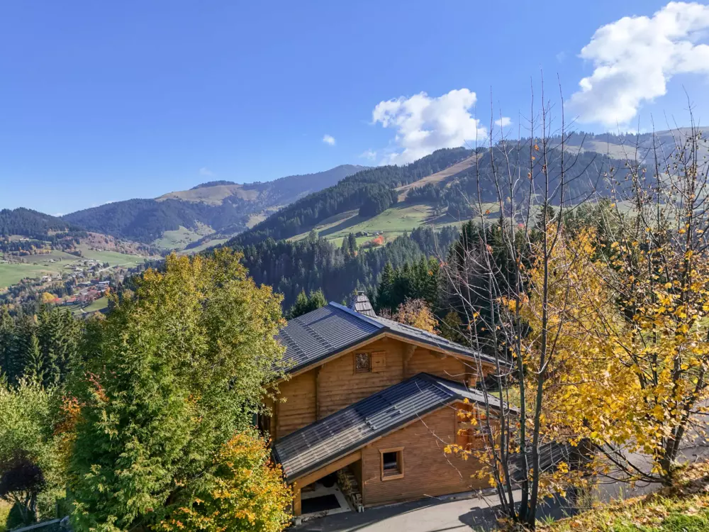 Maison de Vacances Crest-Voland 184