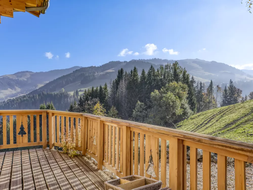 Maison de Vacances Crest-Voland 184