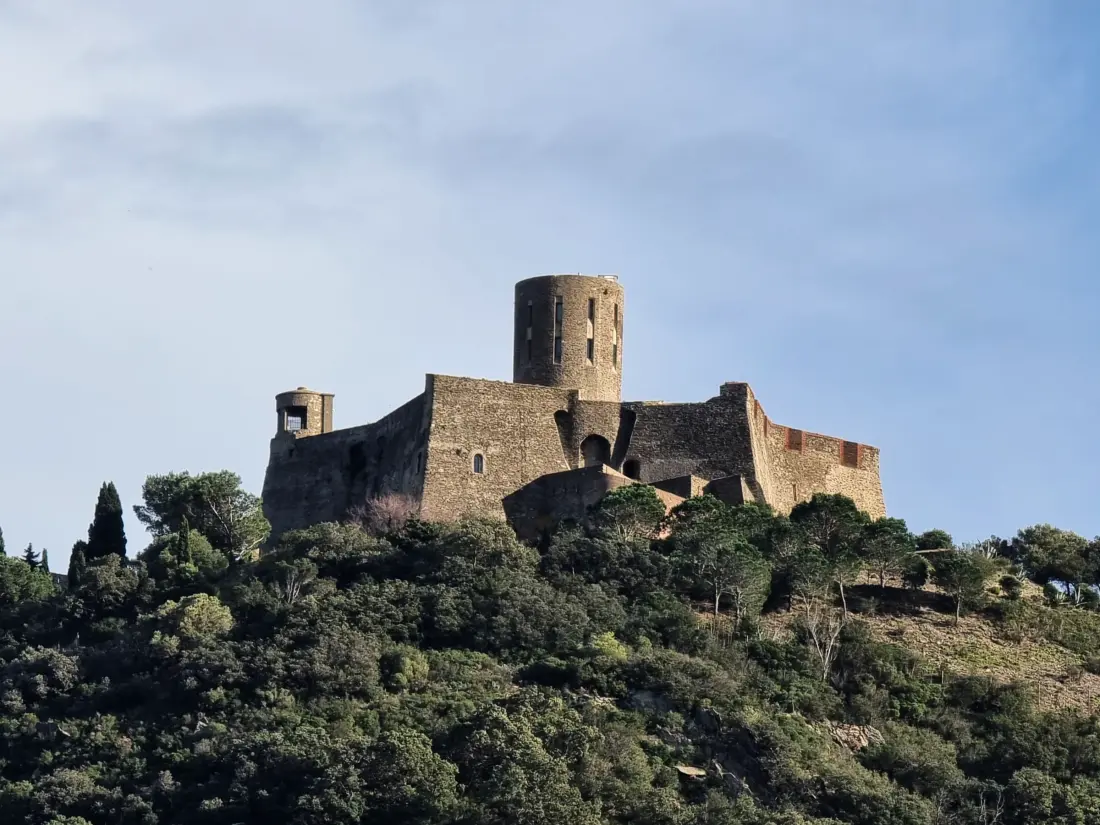 Location de Vacances Collioure 181