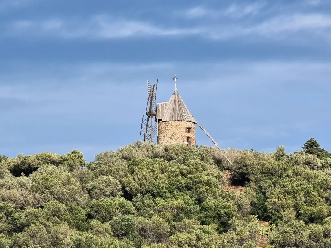 Location de Vacances Collioure 181