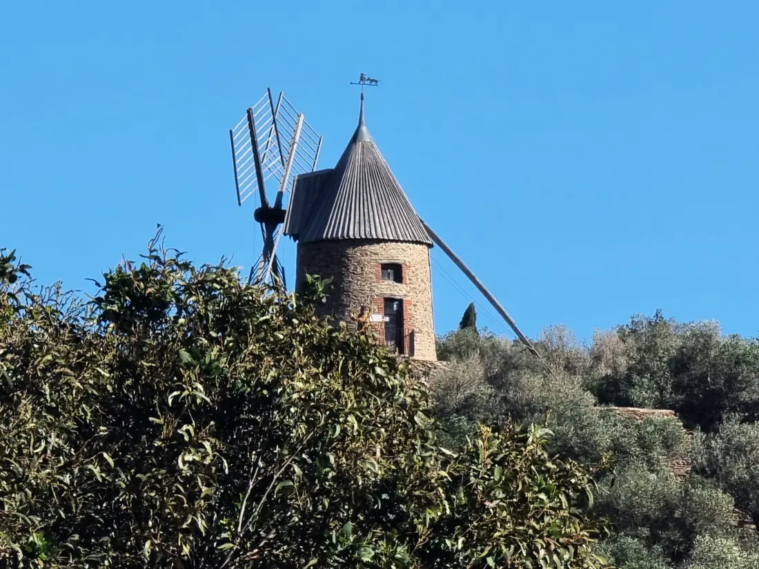 Location de Vacances Collioure 238