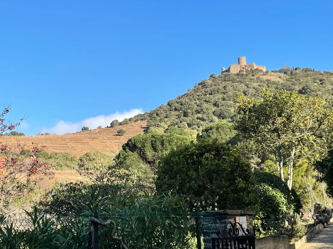 Location de Vacances Collioure 242