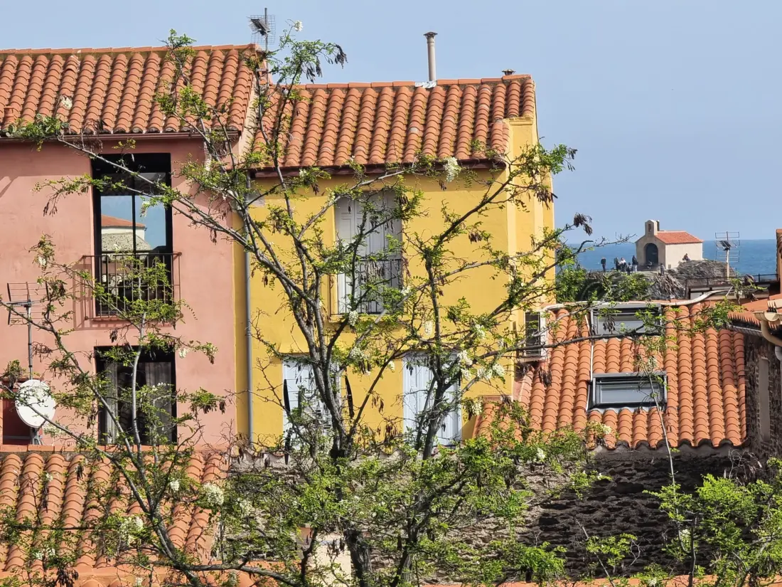 Location de Vacances Collioure 270