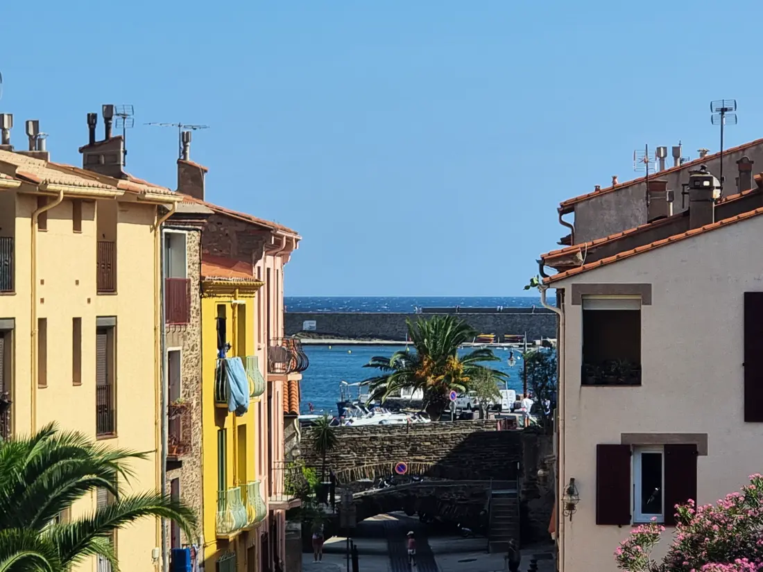 Location de Vacances Collioure 285