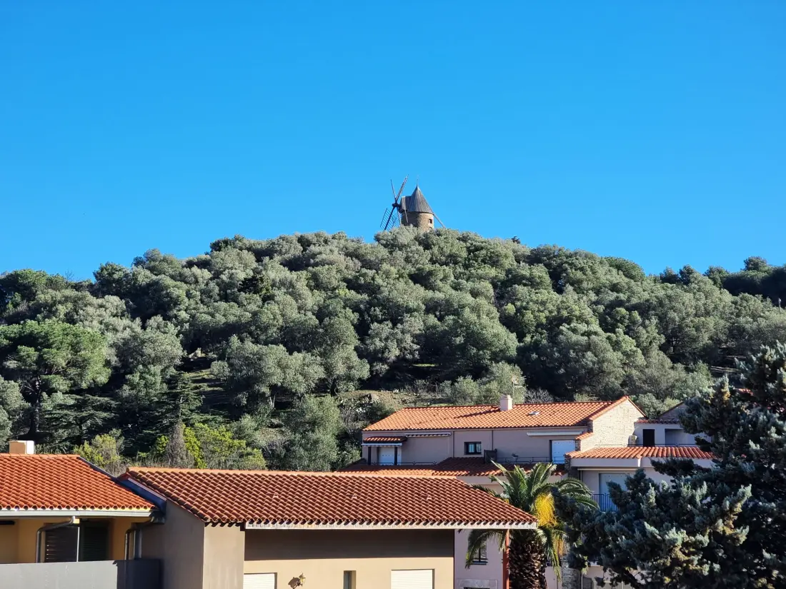 Location de Vacances Collioure 291