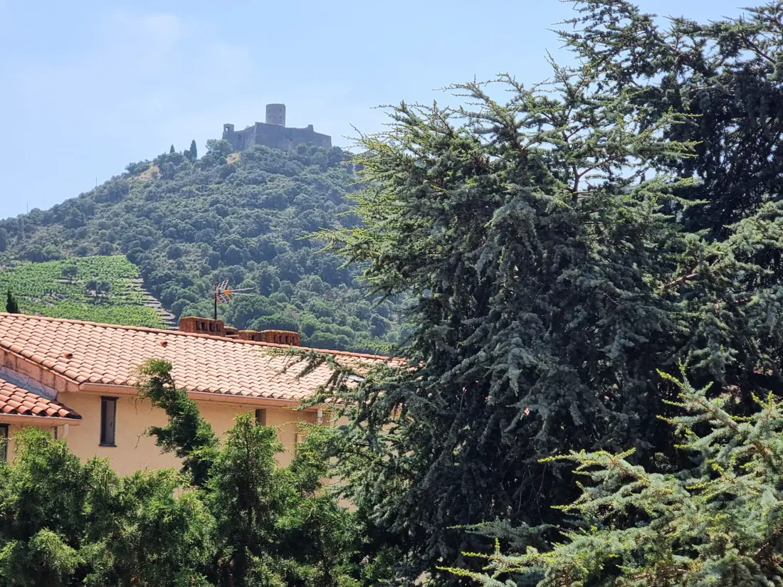 Location de Vacances Collioure 295